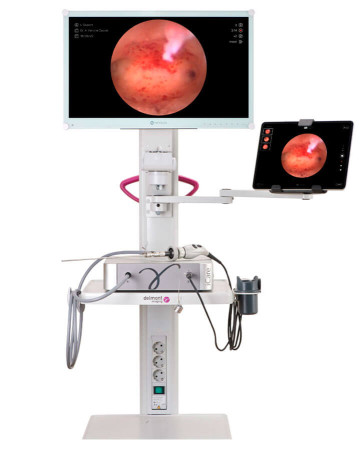 Станция визуализации для эндоскопии Delmont imaging iCare (стандартная комплектация)
