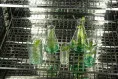 Климатостат КС-200 СПУ