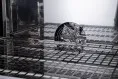 Шкаф сушильный ШС-160-02 СПУ